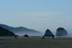 PICTURES/Oregon Coast Road - Cannon Beach/t_P1210867.JPG